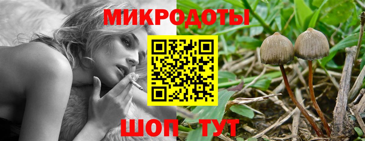 Псилоцибиновые грибы Magic Shrooms  Вход с VPN  закладка  Новый Уренгой 